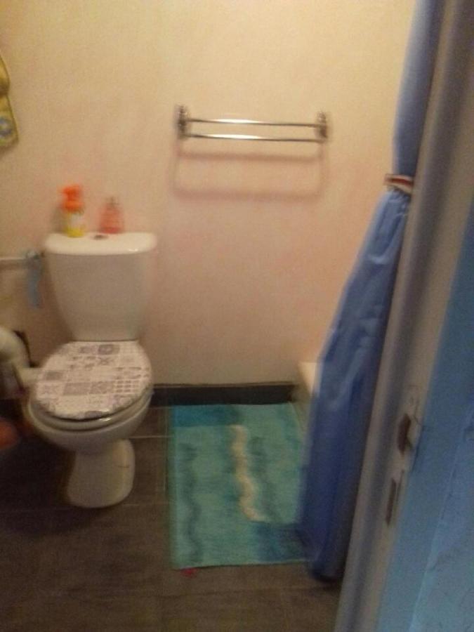 شقة Chez Marie France Saint-Paulien المظهر الخارجي الصورة